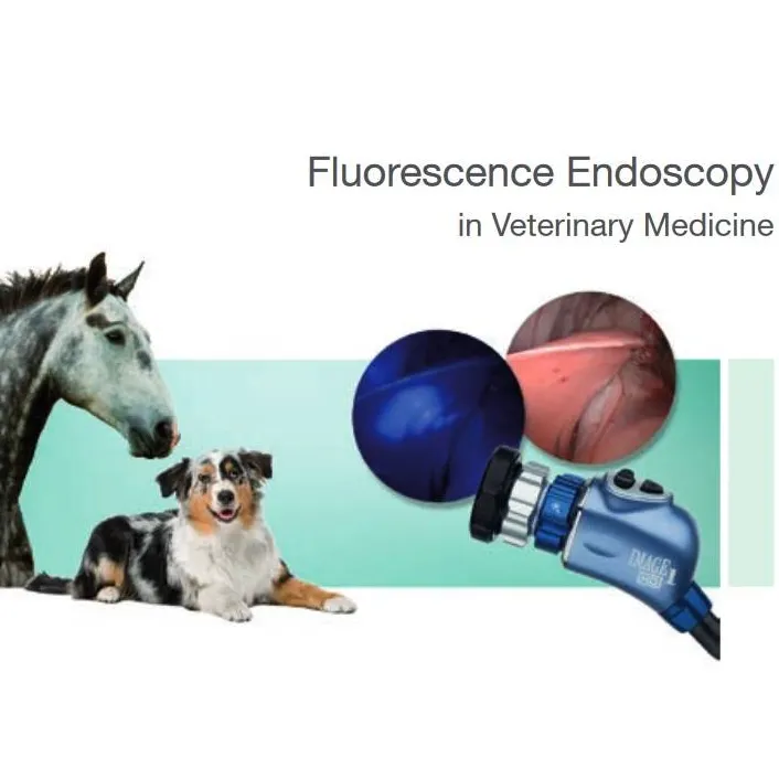 Fluorescence Endoscopy in Veterinary Medicine