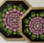 Akram Razmjouy Soufiani