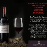 VALPOLICELLA RIPASSO DOC CLASSICO SUPERIORE TORBAE
