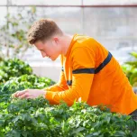 Undergraduate Programs