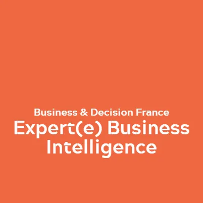 Expert(e) Business Intelligence