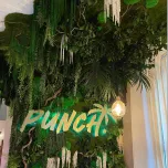 Mur végétal stabilisé