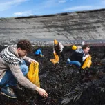 SALTVERK Seaweed Salt