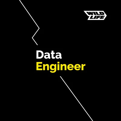 Data Engineer
