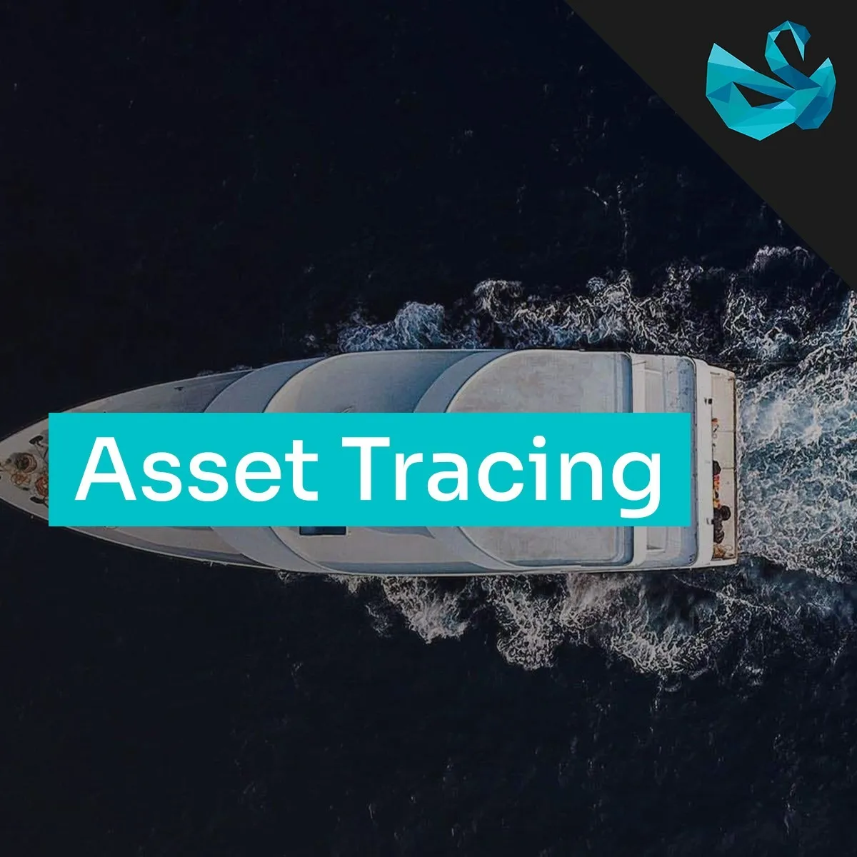 Asset Tracing