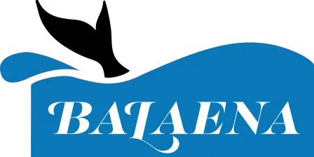 Balaena, LLC
