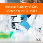 Biosafety Testing Services For Biopharmaceuticals