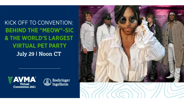 Kick off to Convention: Behind the "MEOW"-sic & the world's largest virtual pet party