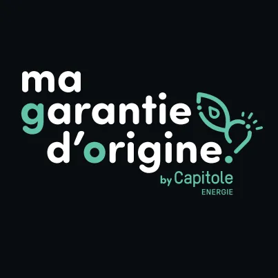 Ma Garantie d'Origine - Consommer de l'énergie verte n'a jamais été aussi simple !