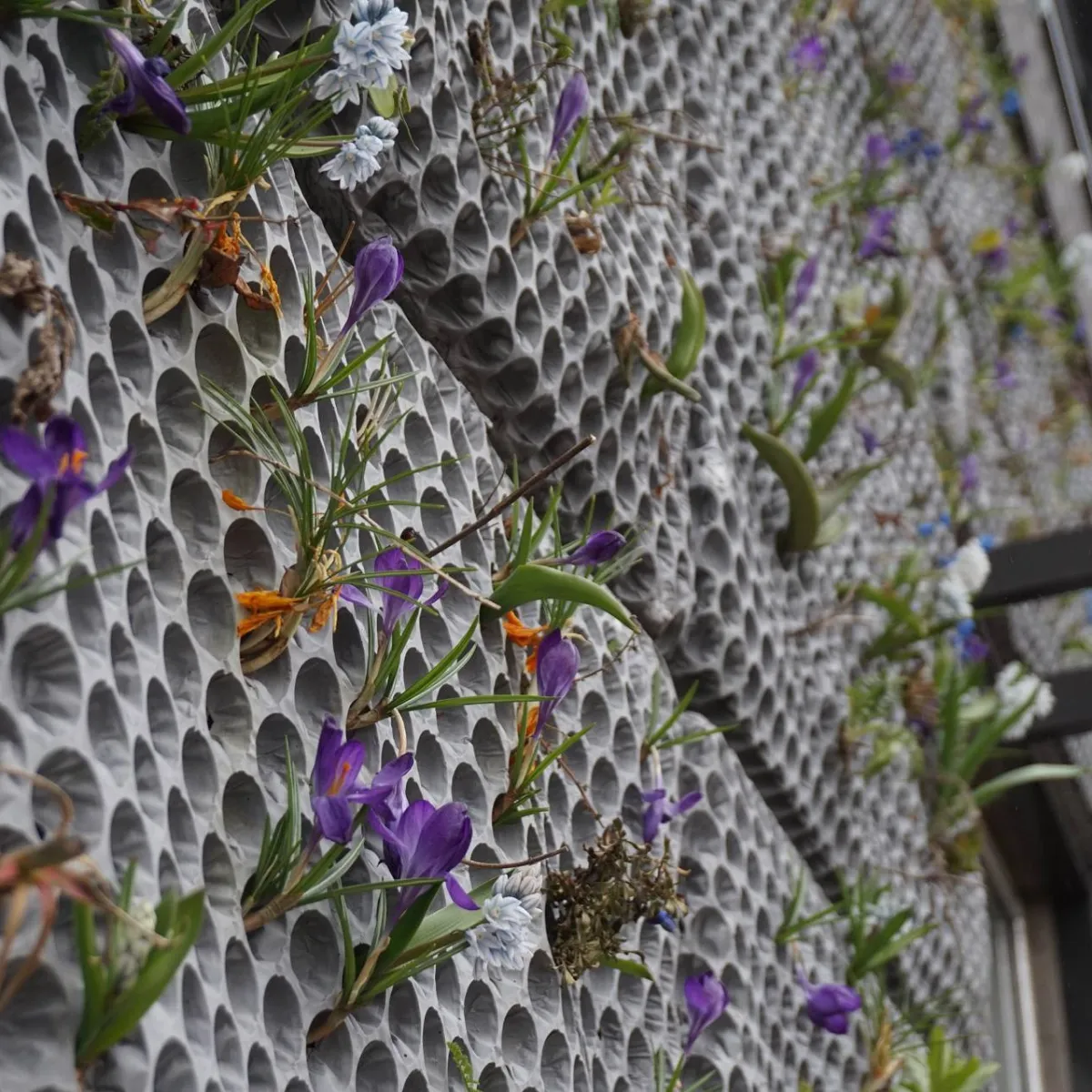 Butong Panels by Butong