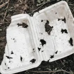 Borrow & Return (Reuse model for hawker centers)