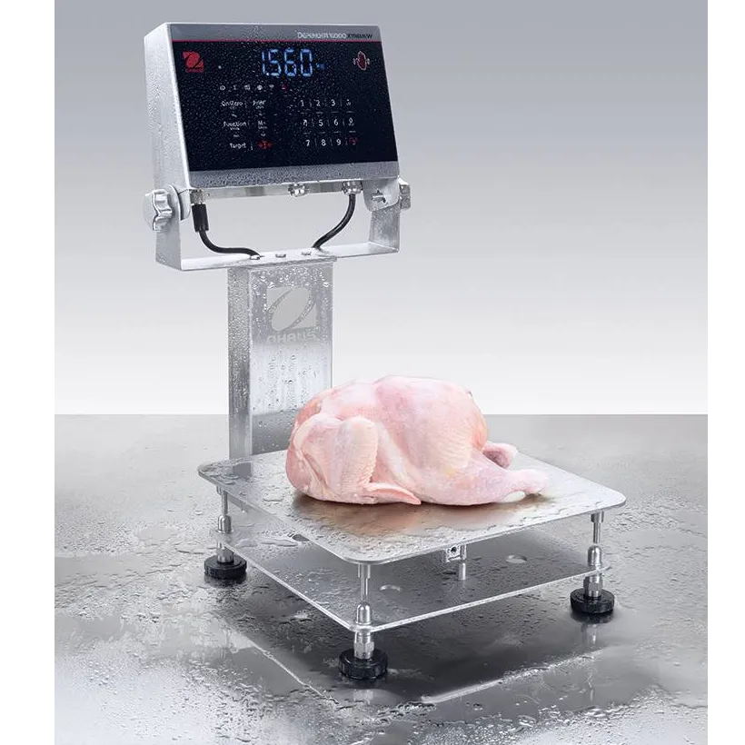 Defender6000 Extreme Washdown Bench Scale