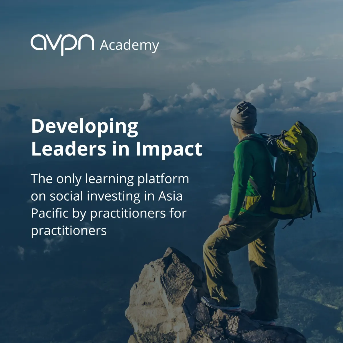 AVPN Academy