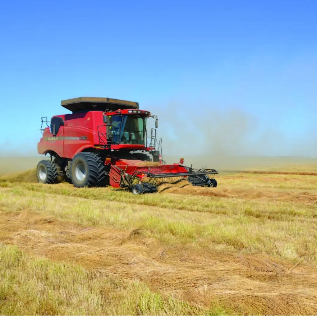 Forage & Turfgrass Seed Production