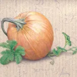 Grafix Drafting Film