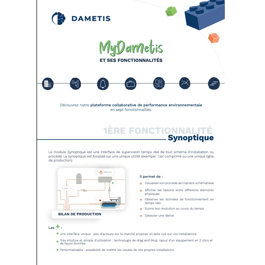 MyDametis software