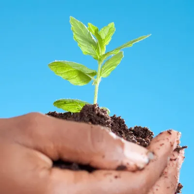 Field-Scale Research