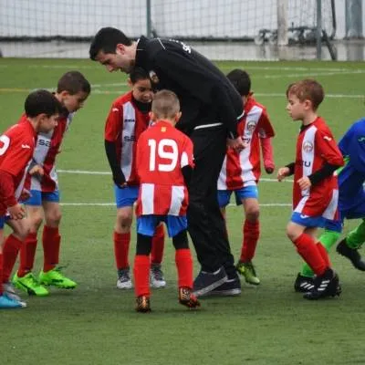 Virtual Director Coaching