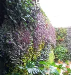 Premium System by GreenUrbanLife®