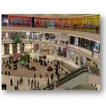 Case Study: Department Store