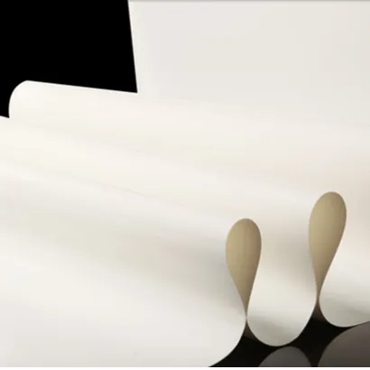 RenewSys PRESERV Backsheets and Bus-Bar Insulation Sheets