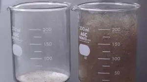 SIVAL Innovation 2024 : EF Polymer