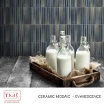 The Mosaic Specialists - Ceramic Mosaic
