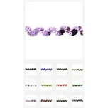 Rainbow Collection of Trims