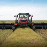 M1 Series Windrowers