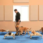 Kuranda Chew Proof Dog & Cat Beds