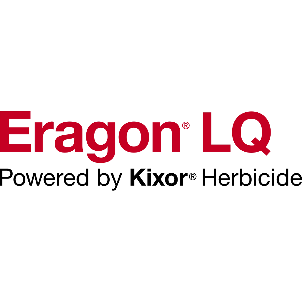Eragon LQ