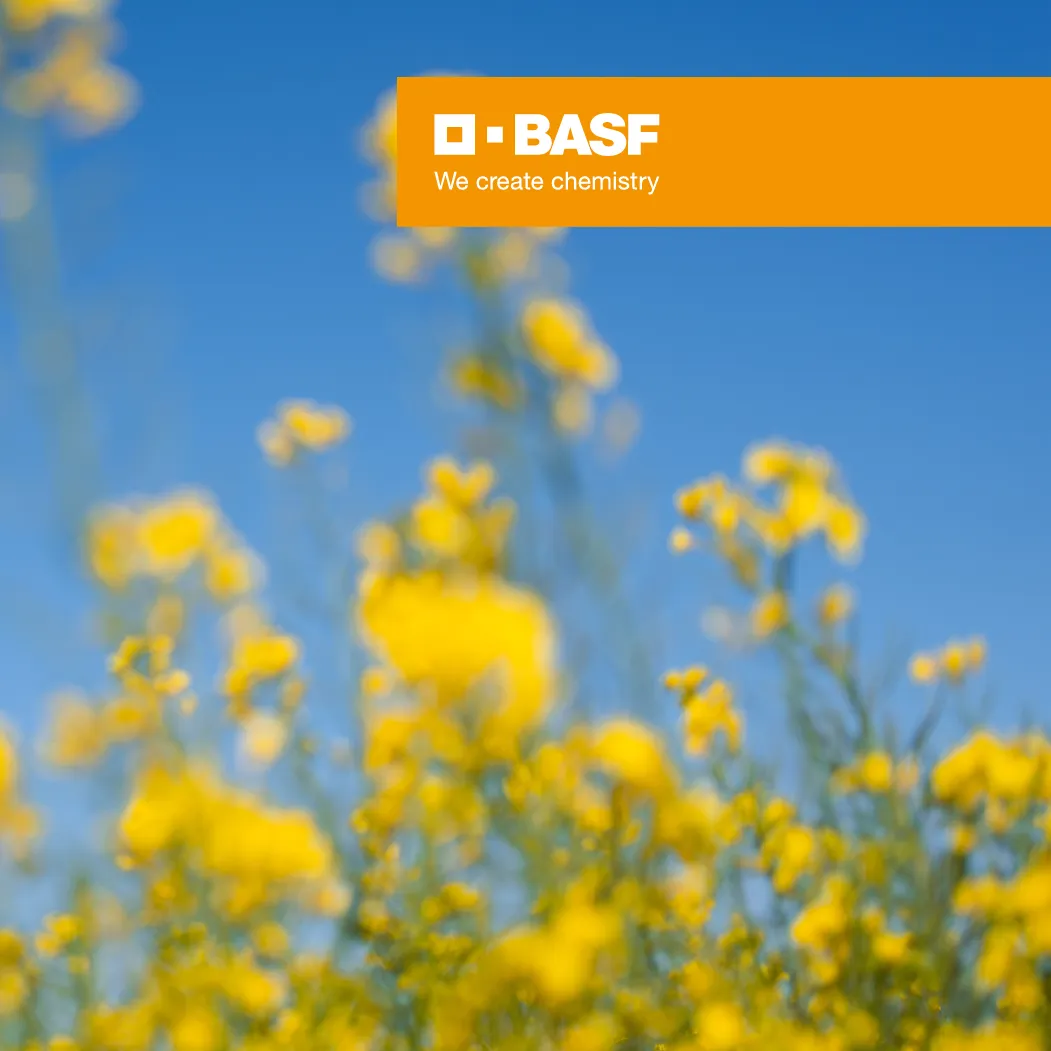 Operation Head Pest & Disease Control