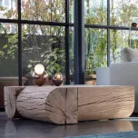 Adjacencies rectangular coffee table