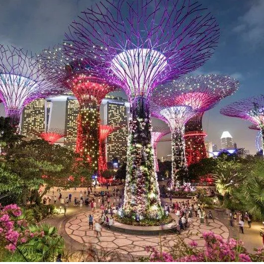 Nature’s Blueprints (Science, 3x50 min 4K)