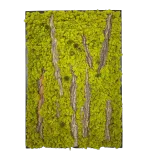 Tableau végétal stabilisé