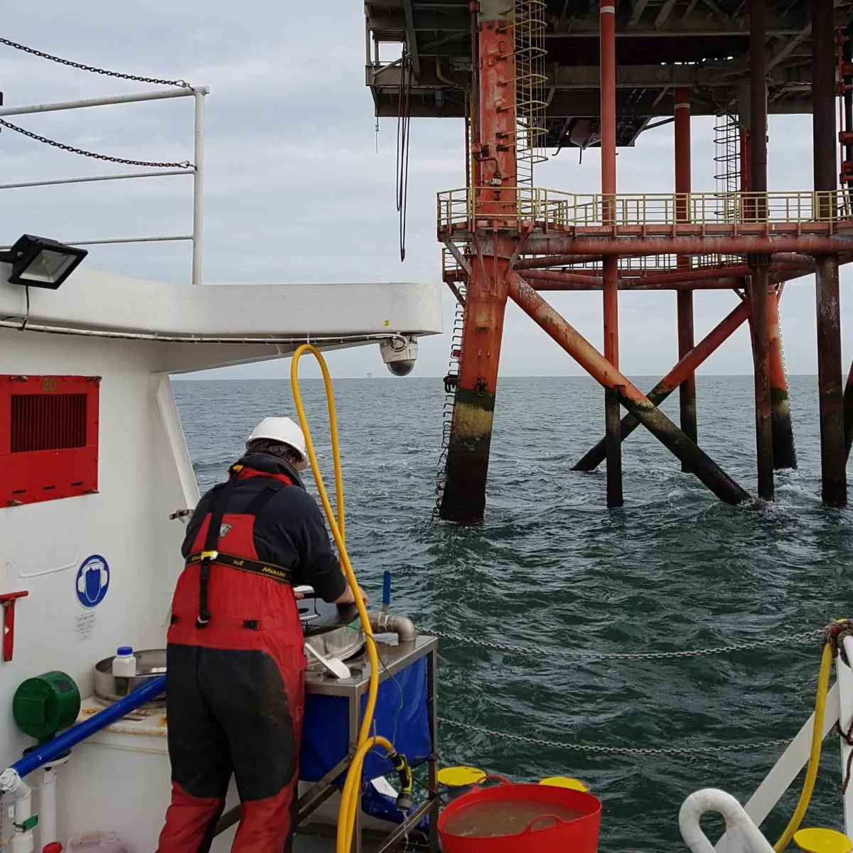 Decommissioning Surveys