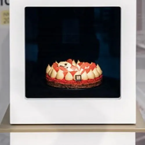 Vitrine MUSE Brevet INPI en cours