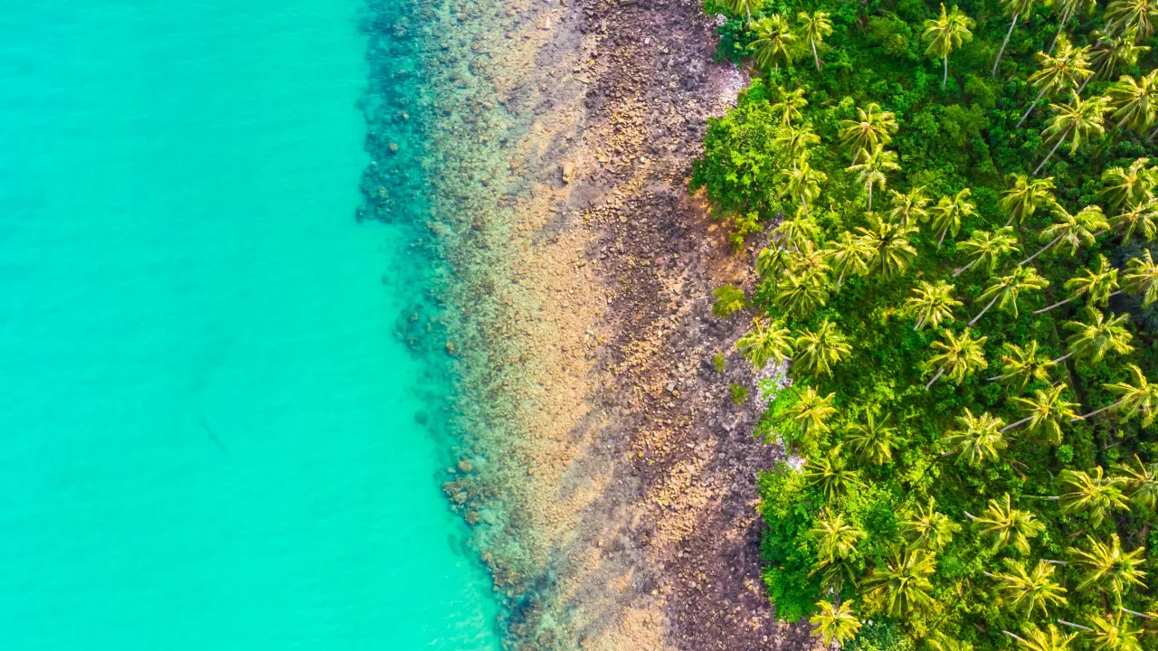 Ocean Philanthropy: Challenges and Solutions for Effective Ocean Conservation