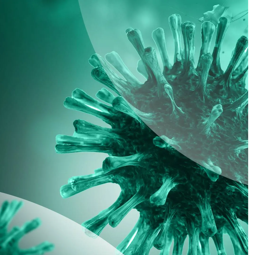 A Complete Toolkit for SARS-CoV-2 Research