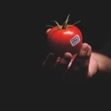 Haute Résistance par Enza Zaden (HREZ)