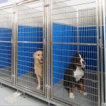 Mason Above the Floor Ultrabase Dog Kennel