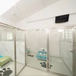 Mason on the Floor Sani-Kennel