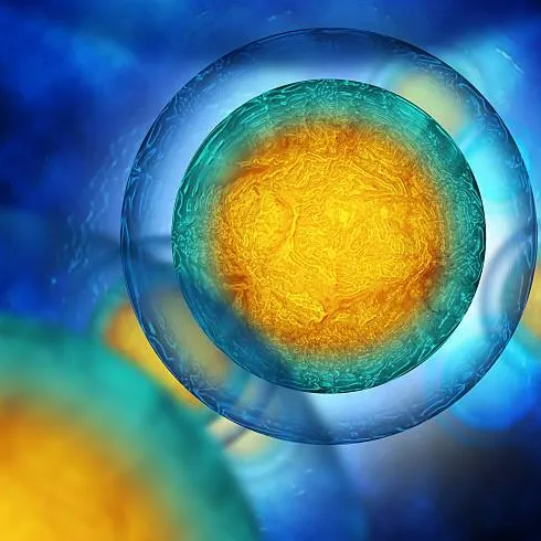 Cell based assays (infectious disease testing, and more)