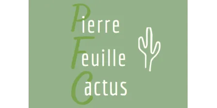 PIERRE FEUILLE CACTUS