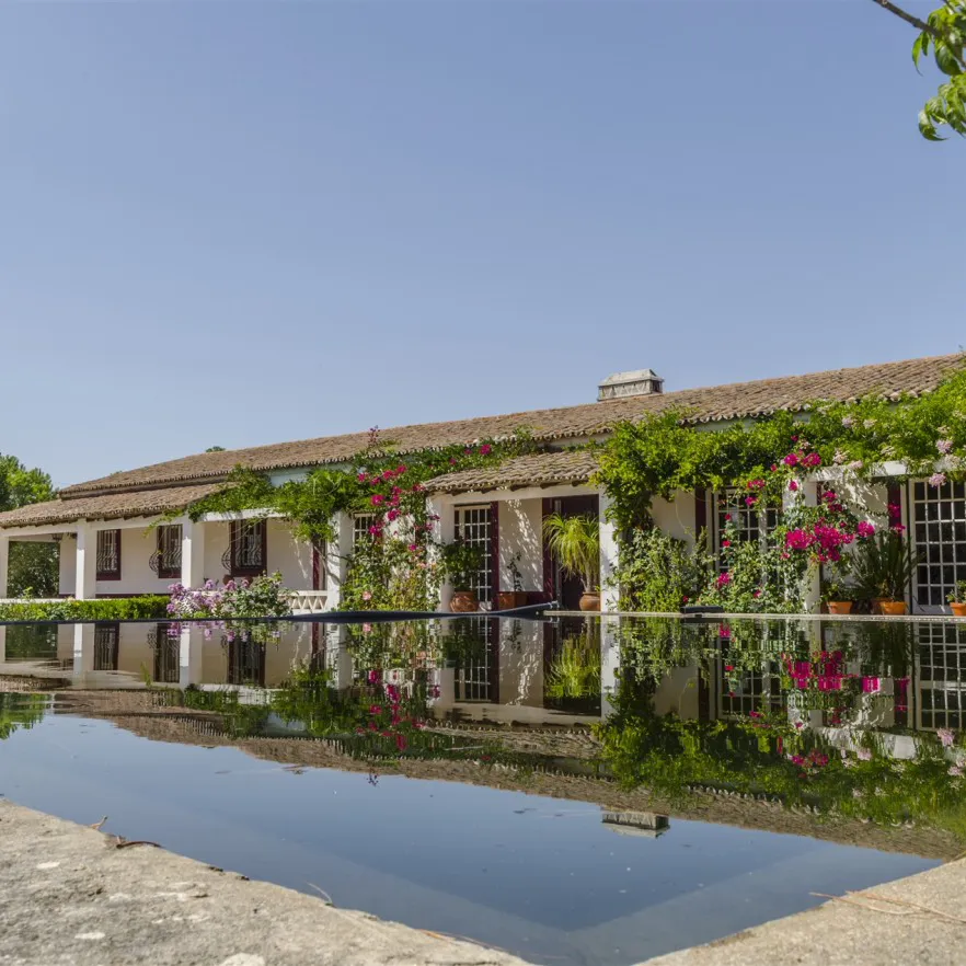 Monte Alentejano in Alvito