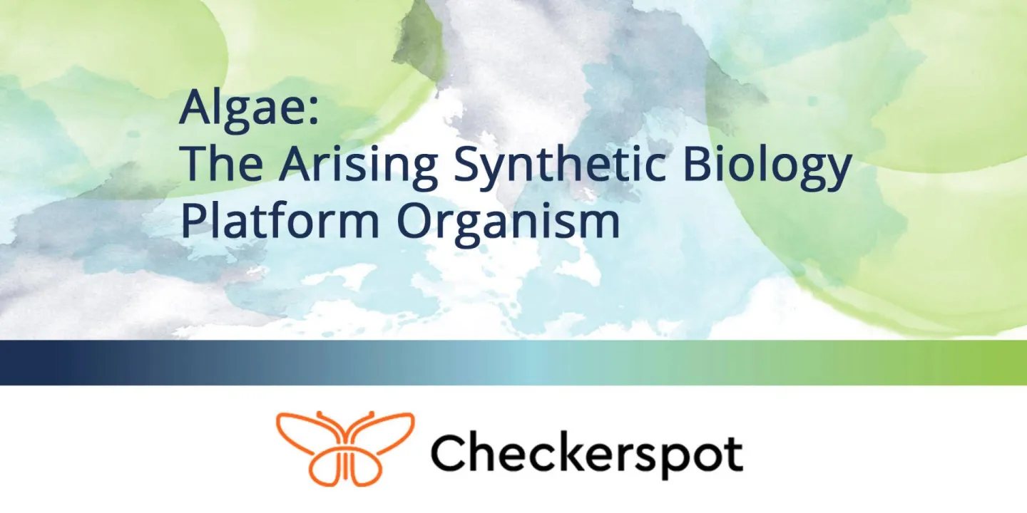 Algae: The Arising Synthetic Biology Platform Organism