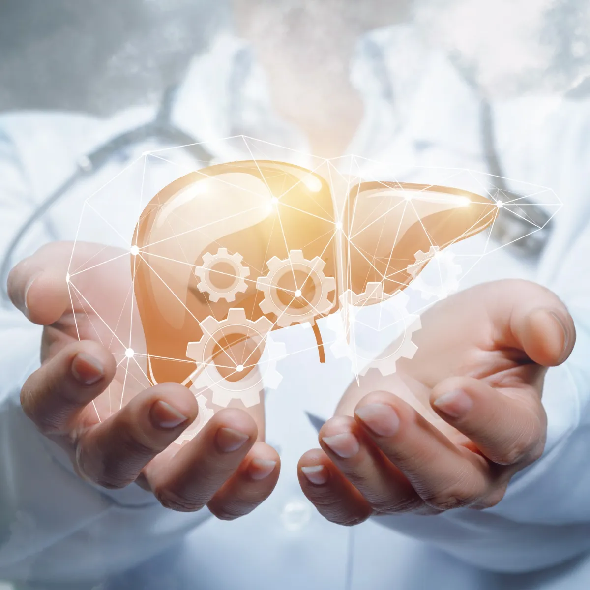 ILCA Industry Partnership Programme