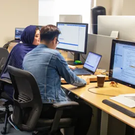 New Business / New Services