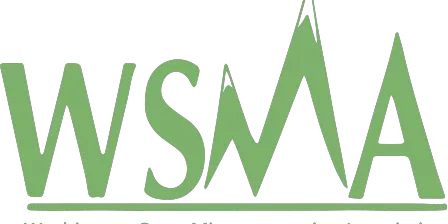 Washington State Microenterprise Association