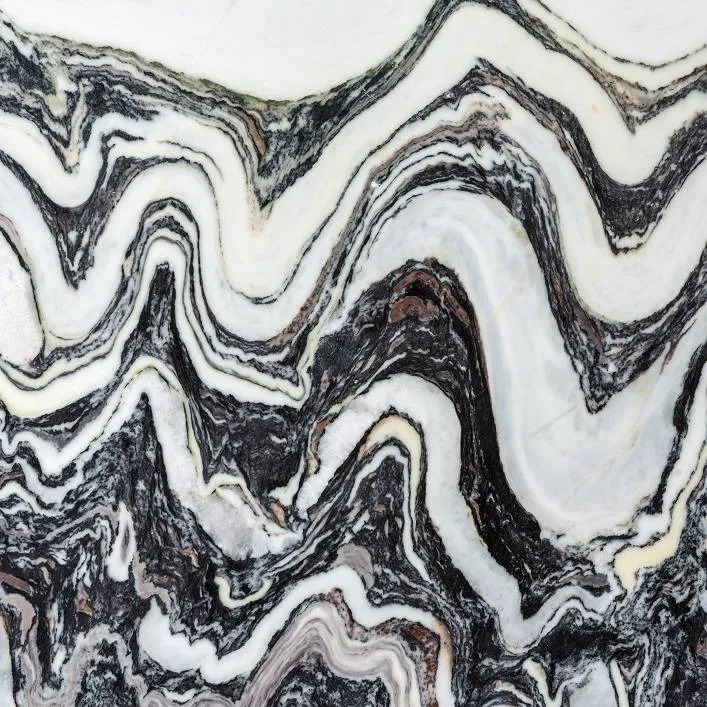 CIPOLLINO FANTÁSTICO